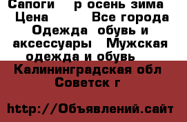 Сапоги 35 р.осень-зима  › Цена ­ 700 - Все города Одежда, обувь и аксессуары » Мужская одежда и обувь   . Калининградская обл.,Советск г.